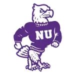 Niagara logo