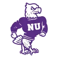 Niagara logo